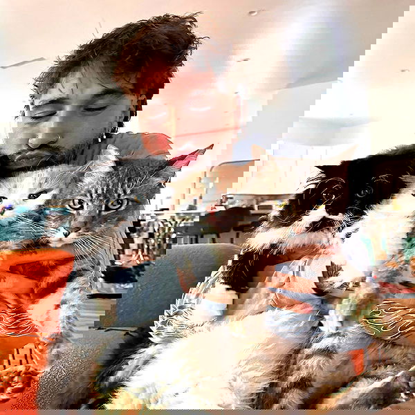 smashedely smashedely archive image