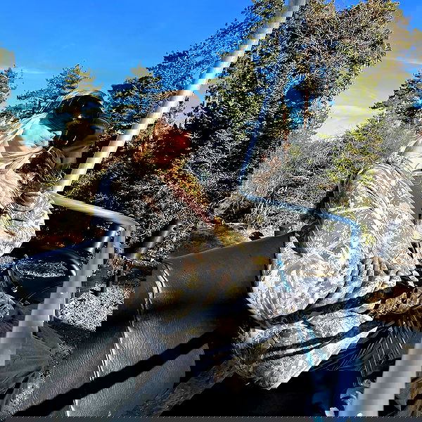 smashedely smashedely archive image