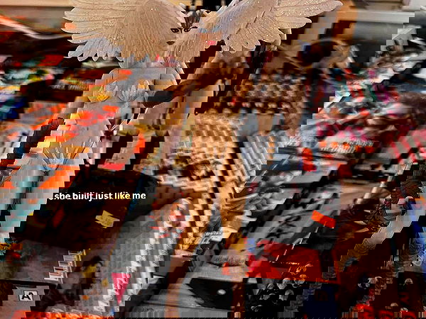 smashedely smashedely archive image