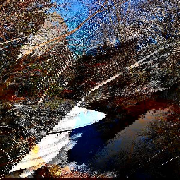 smashedely smashedely archive image