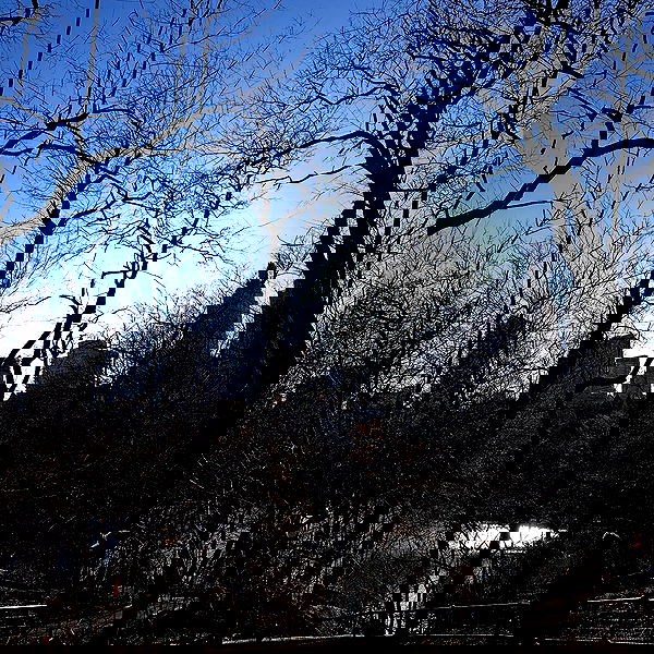 smashedely smashedely archive image