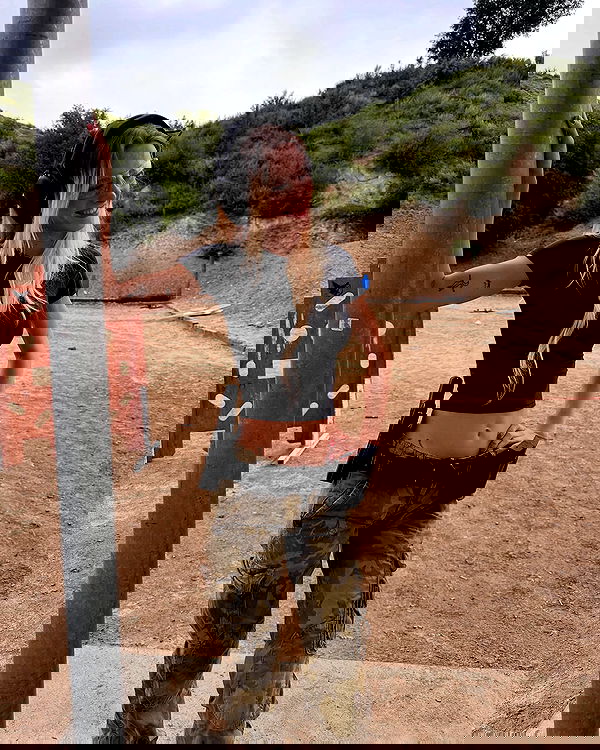 smashedely smashedely archive image