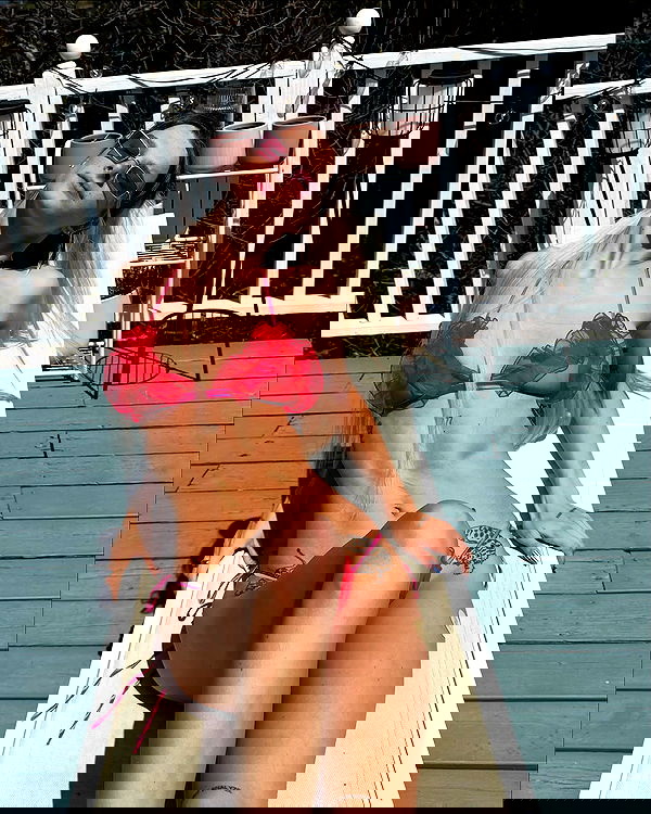 smashedely smashedely archive image