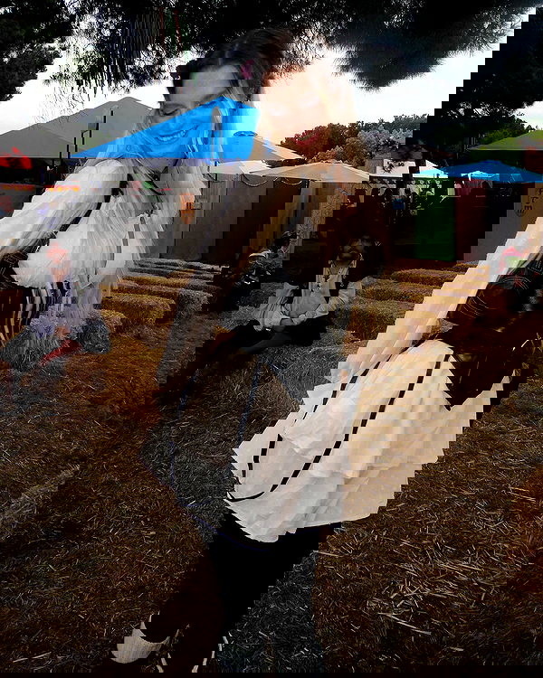 smashedely smashedely archive image