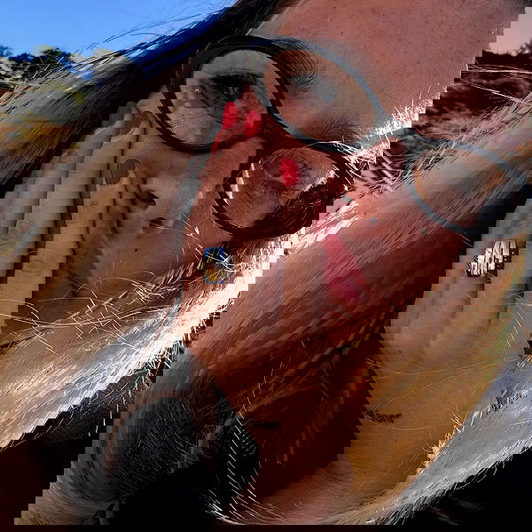 smashedely smashedely archive image