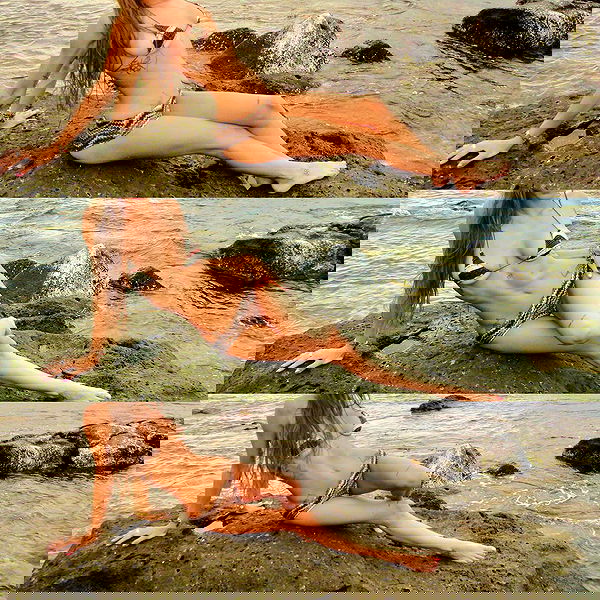 smashedely smashedely archive image