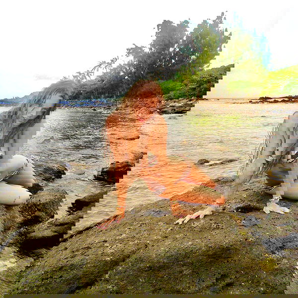 smashedely smashedely archive image