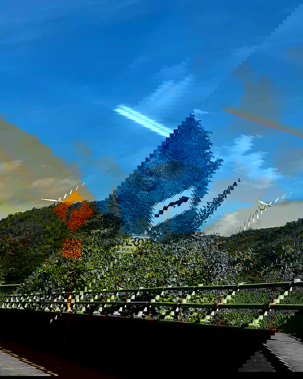 smashedely smashedely archive image