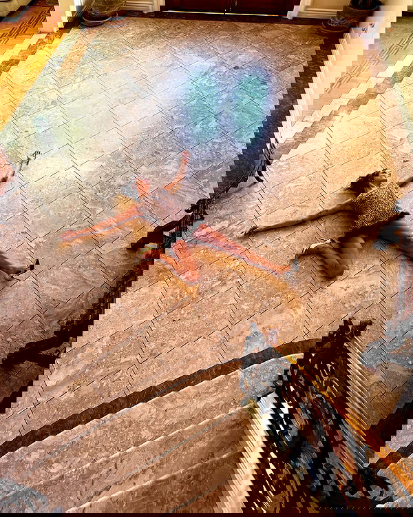 smashedely smashedely archive image