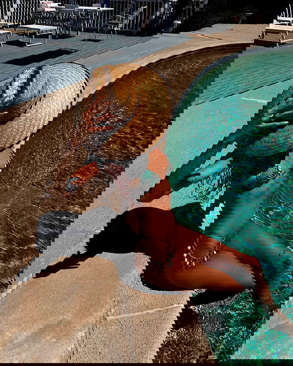 smashedely smashedely archive image