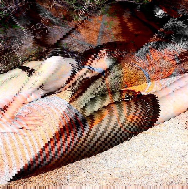 smashedely smashedely archive image