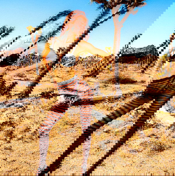 smashedely smashedely archive image