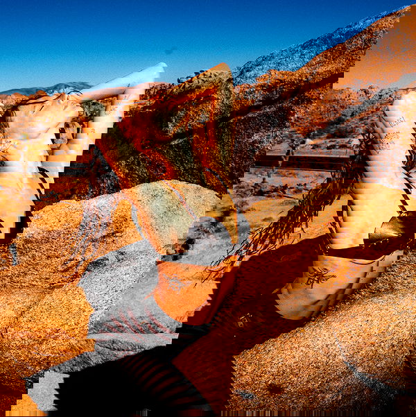 smashedely smashedely archive image