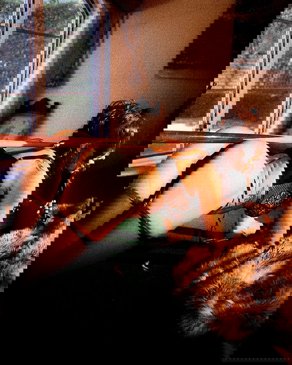 smashedely smashedely archive image