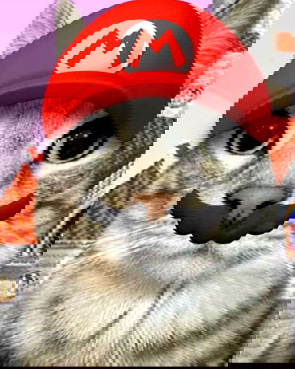 smeepsx smeepsx archive image