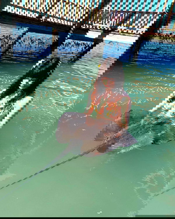 smeepsx smeepsx archive image