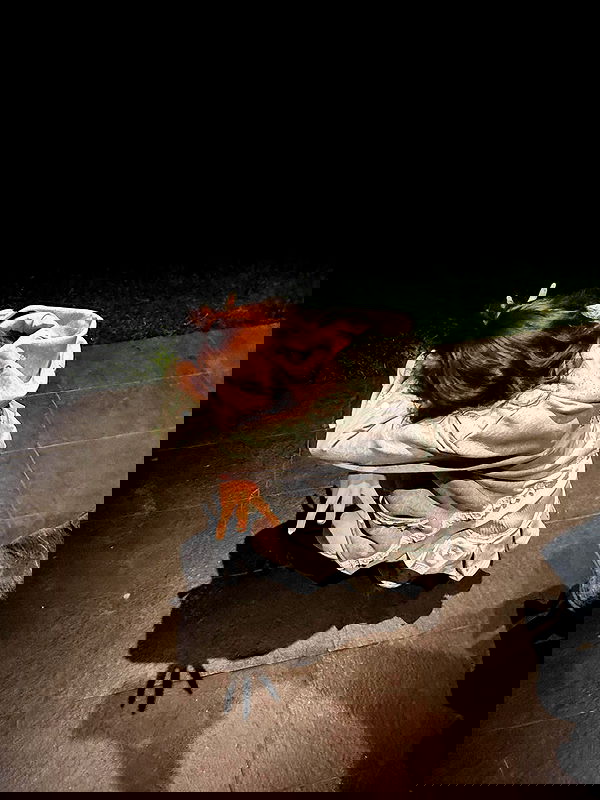 smeepsx smeepsx archive image