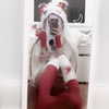sminky Altpins Profile Picture