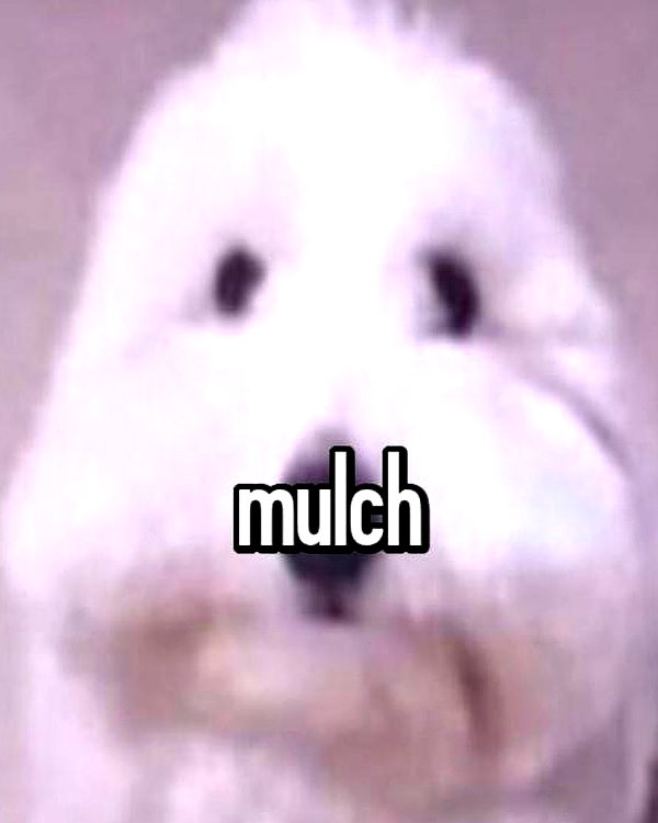 sneesnaw2.0 instagram image archive image