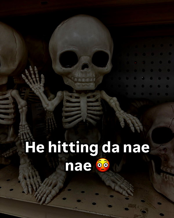 sneesnaw2.0 instagram image archive image