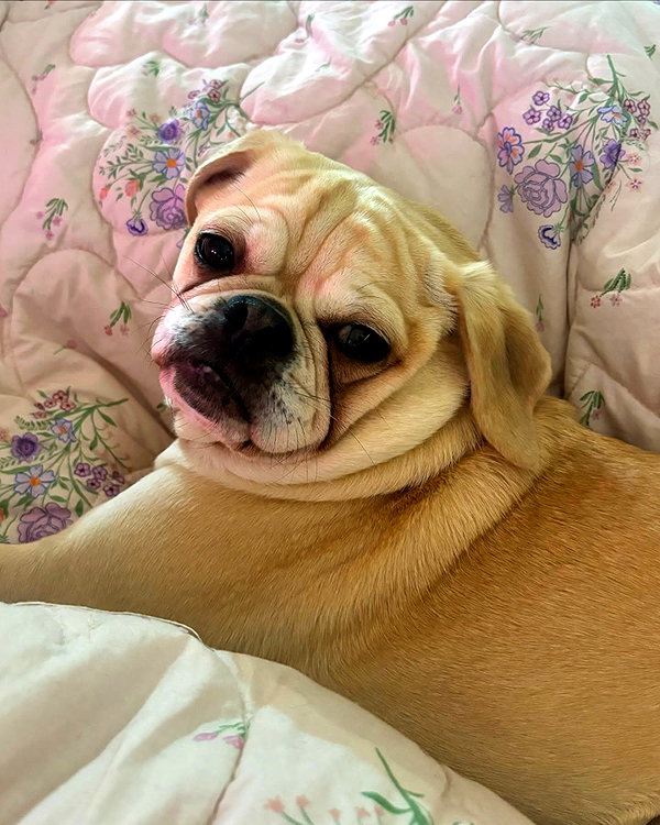 sneesnaw2.0 instagram image archive image