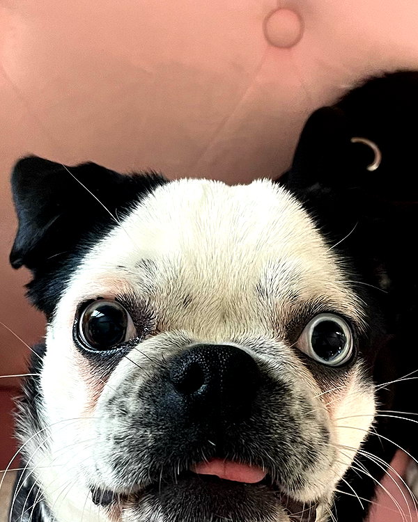sneesnaw2.0 instagram image archive image