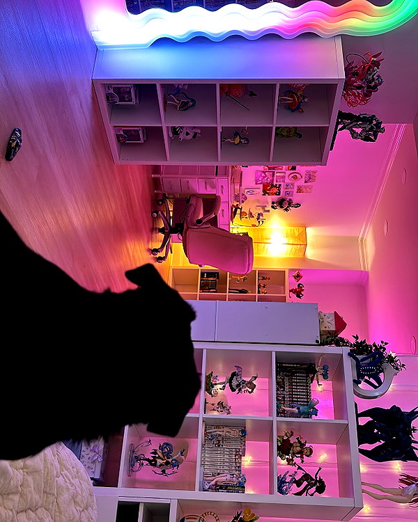 sneesnaw2.0 instagram image archive image