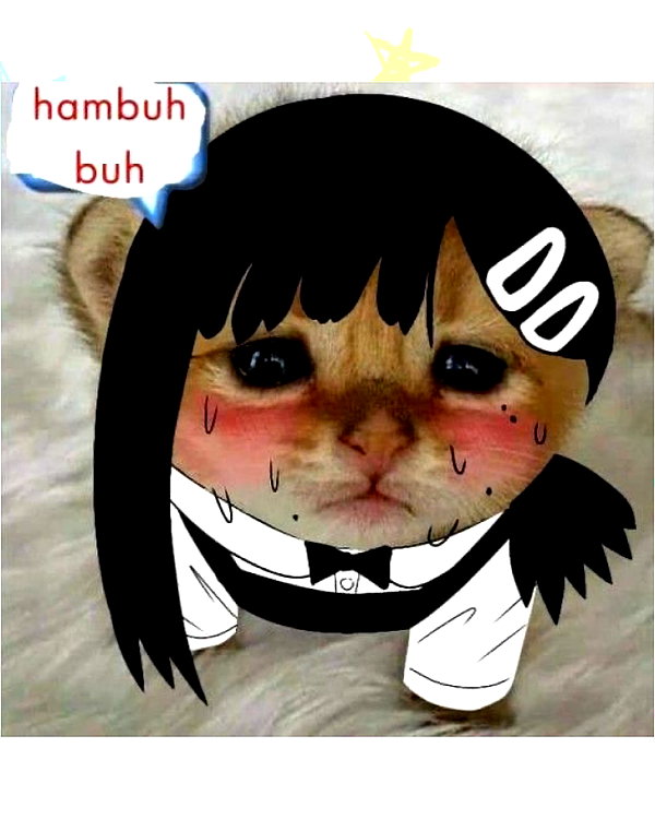 sneesnaw2.0 instagram image archive image