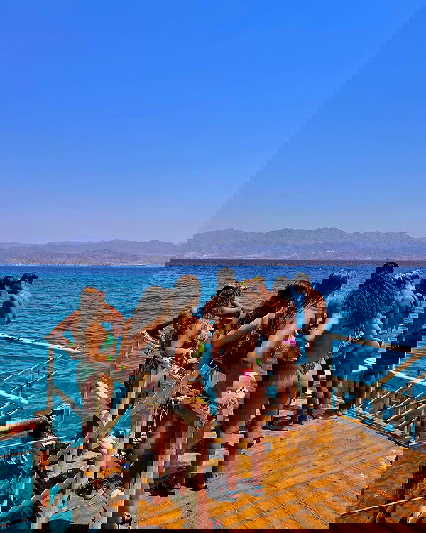 sofialevin__ sofialevin__ archive image