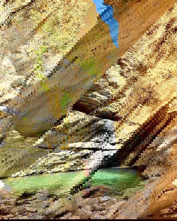 sofialevin__ sofialevin__ archive image