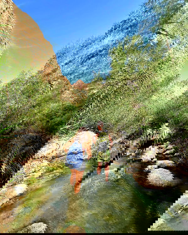 sofialevin__ sofialevin__ archive image