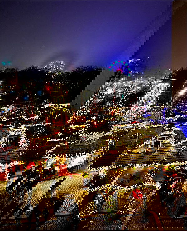 sofialevin__ sofialevin__ archive image