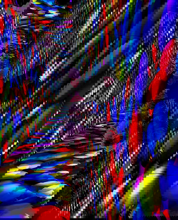 sofialevin__ sofialevin__ archive image