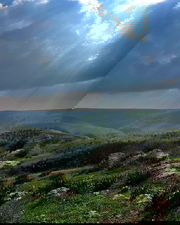 sofialevin__ sofialevin__ archive image