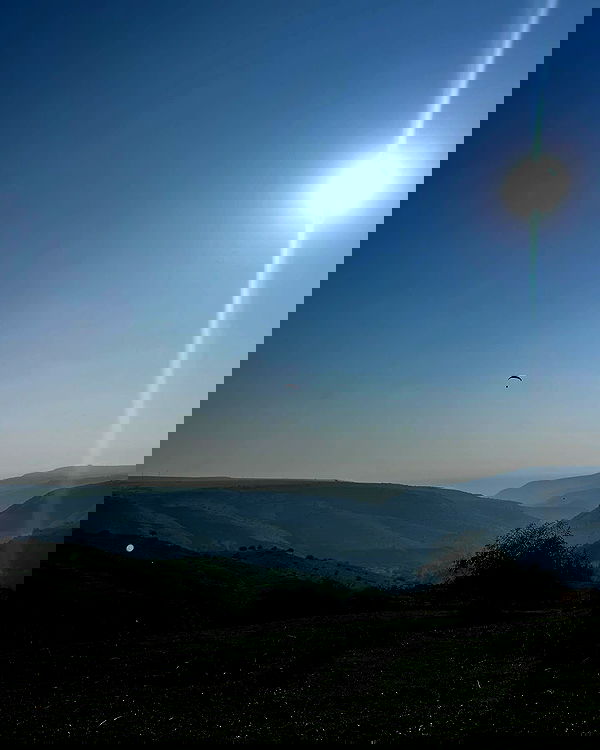 sofialevin__ sofialevin__ archive image