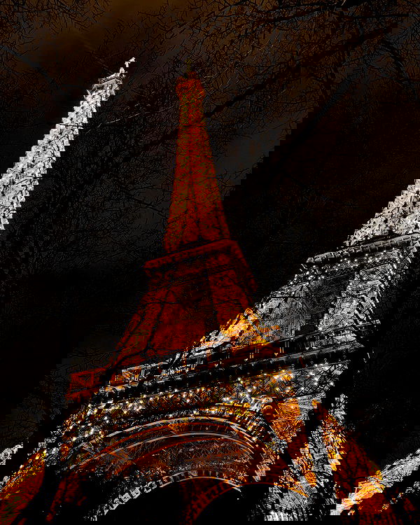 sofialevin__ sofialevin__ archive image