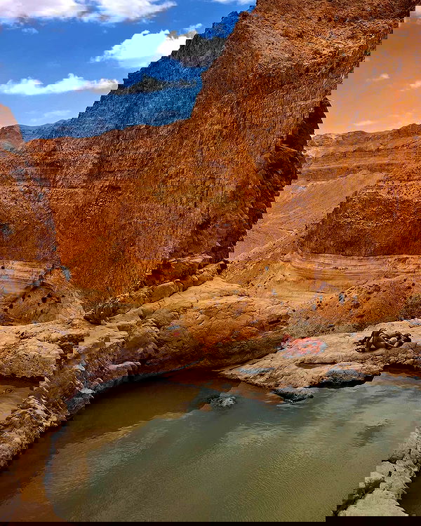 sofialevin__ sofialevin__ archive image