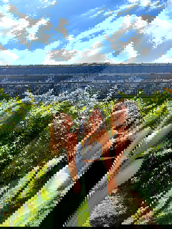 sofialevin__ sofialevin__ archive image