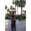 sommerray Altpins Profile Picture