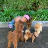 sommerray Altpins Profile Picture