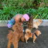 sommerray Altpins Profile Picture