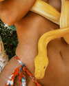 sommerray Altpins Profile Picture