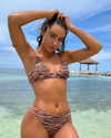 sommerray Altpins Profile Picture