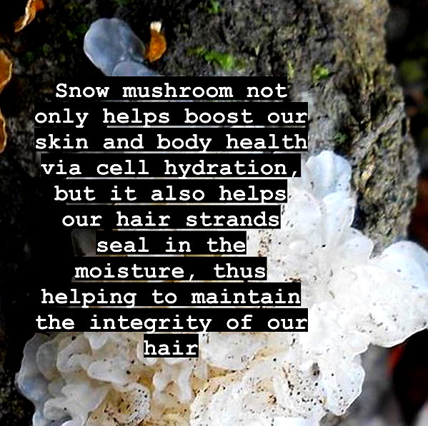 sommerray instagram image archive image