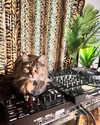 sommerray Altpins Profile Picture