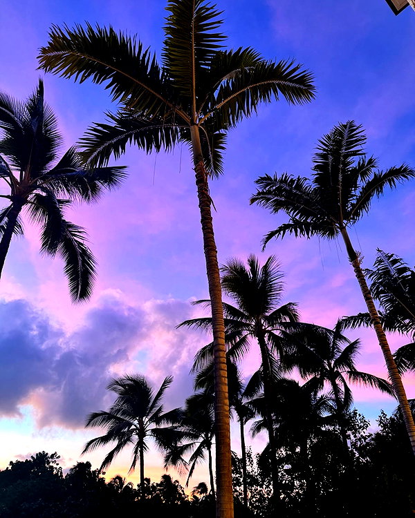 sommerray instagram image archive image
