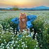 sonya_fisher_ Altpins Profile Picture
