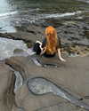 sonya_fisher_ Altpins Profile Picture