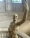 sonya_fisher_ Altpins Profile Picture