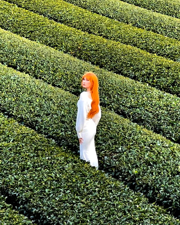 sonya_fisher_ instagram image archive image
